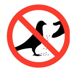 Verboden duiven te voeren